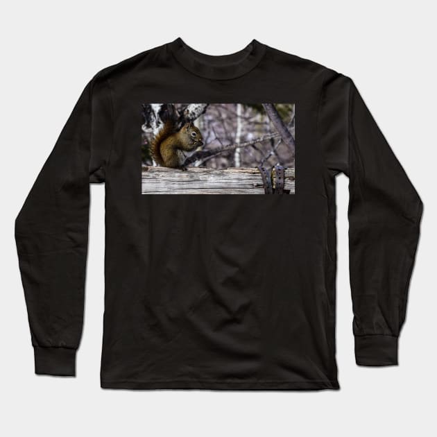 Red Squirrel on a Fence. Long Sleeve T-Shirt by CanadianWild418